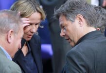 Lemke: K-Frage bei den Grünen "nicht entscheidend"