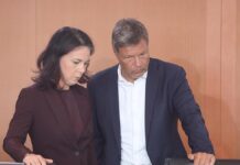 Insa: Grüne bleiben im Umfragetief