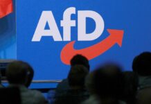Experten schätzen Musk-Effekt für AfD als gering ein