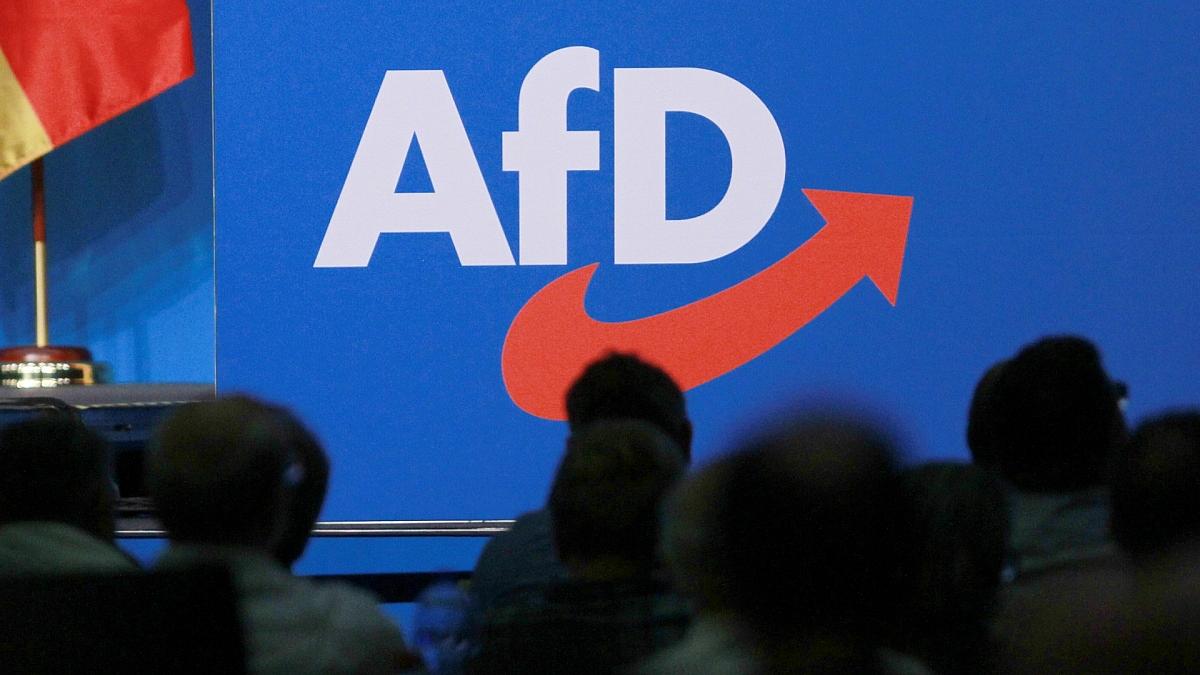 Ökonomen sehen AfD-Wirtschaftspolitik kritisch