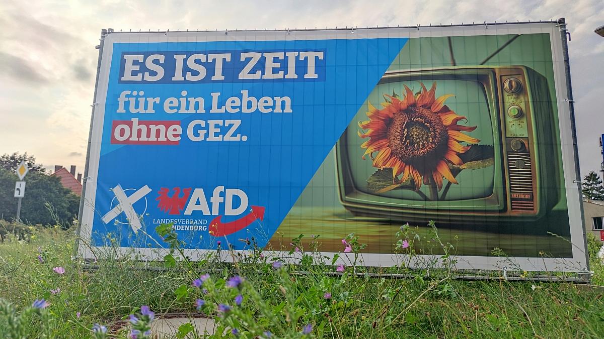 Bericht: Landesmedienanstalt droht AfD mit Video-Sperrung