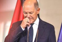 Politologe attestiert Scholz Hilflosigkeit Politologe attestiert Scholz Hilflosigkeit