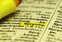 Kubicki kritisiert Sprachhürden für ausländische Fachkräfte