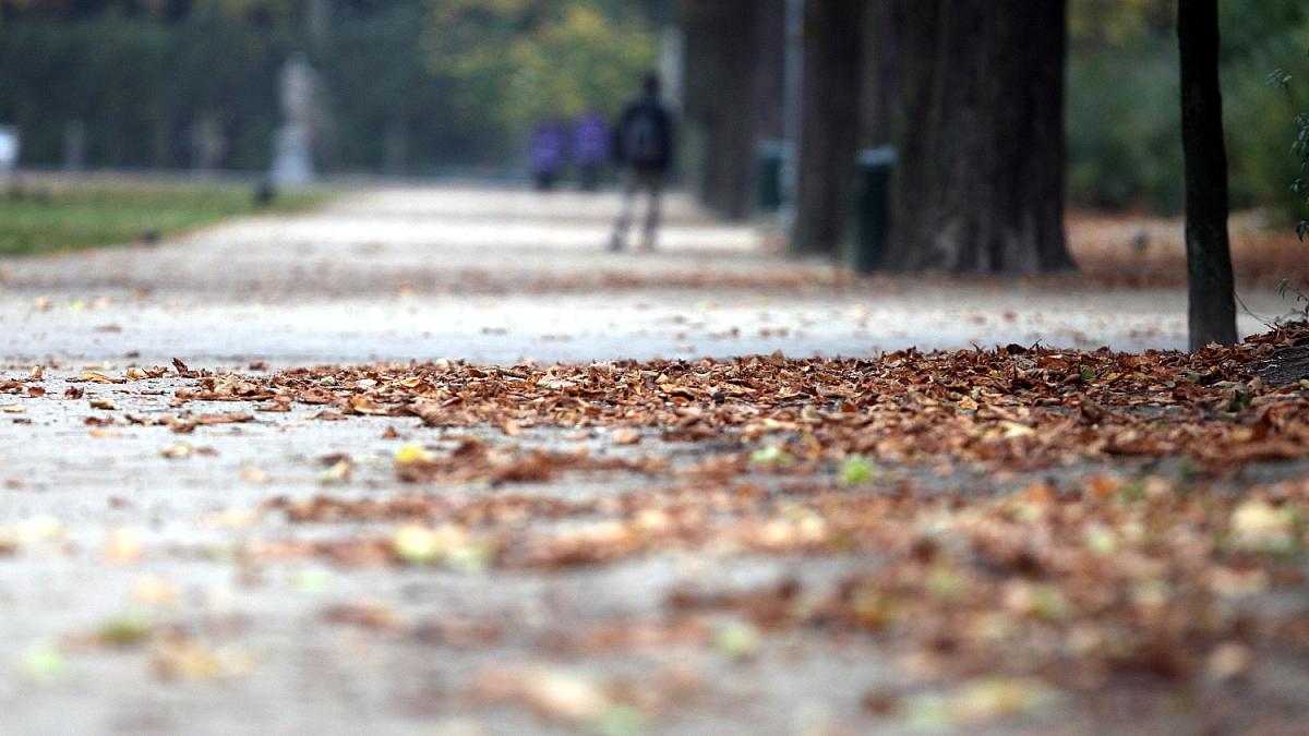 Wetterdienst: Temperatur im Oktober war deutlich zu hoch