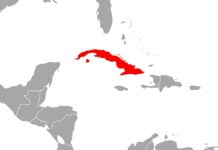 Erdbeben der Stärke 6,8 im Südosten Kubas