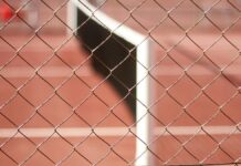 Tennis-Superstar Djokovic stellt Andy Murray als neuen Coach vor