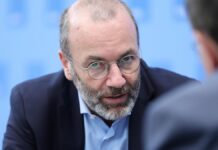 EVP-Chef fordert "Plan B" zur Verteidigung der Ukraine