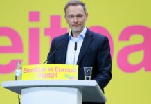 Lindner will "sich prüfen"