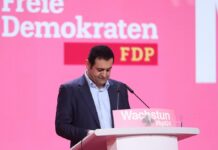FDP-Generalsekretär: Niemand aus der Führung kannte "D-Day"-Papier