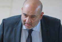 Nouripour äußert sich skeptisch zu Lindner-Papier