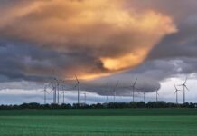 Weidel verlangt "echten Wettbewerb auf dem Energiemarkt"