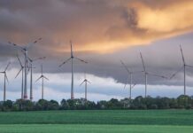 Emissionen durch deutsche Stromerzeugung seit 2014 halbiert