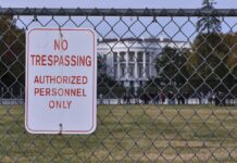 Trump benennt weitere Regierungsmitglieder – Elon Musk auch dabei