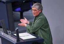 Haßelmann: Noch keine Einigung mit Union auf gemeinsame Gesetze