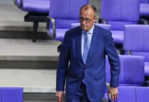 FDP kritisiert Merz wegen Schuldenbremse-Äußerungen