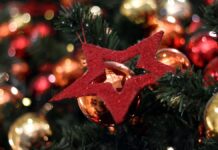 Sozialverband: Viele Menschen müssen auf Weihnachtsbaum verzichten