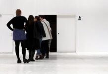 AfD will Abtreibungen weitgehend einschränken