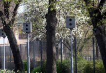 Noch eine halbe Million schriftliche Punkte-Abfragen in Flensburg