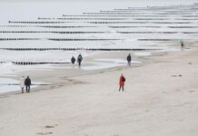 Störung an Unterseekabel zwischen Finnland und Estland