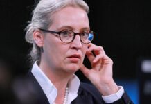 Union sieht in Weidel-Kür "Ansporn"
