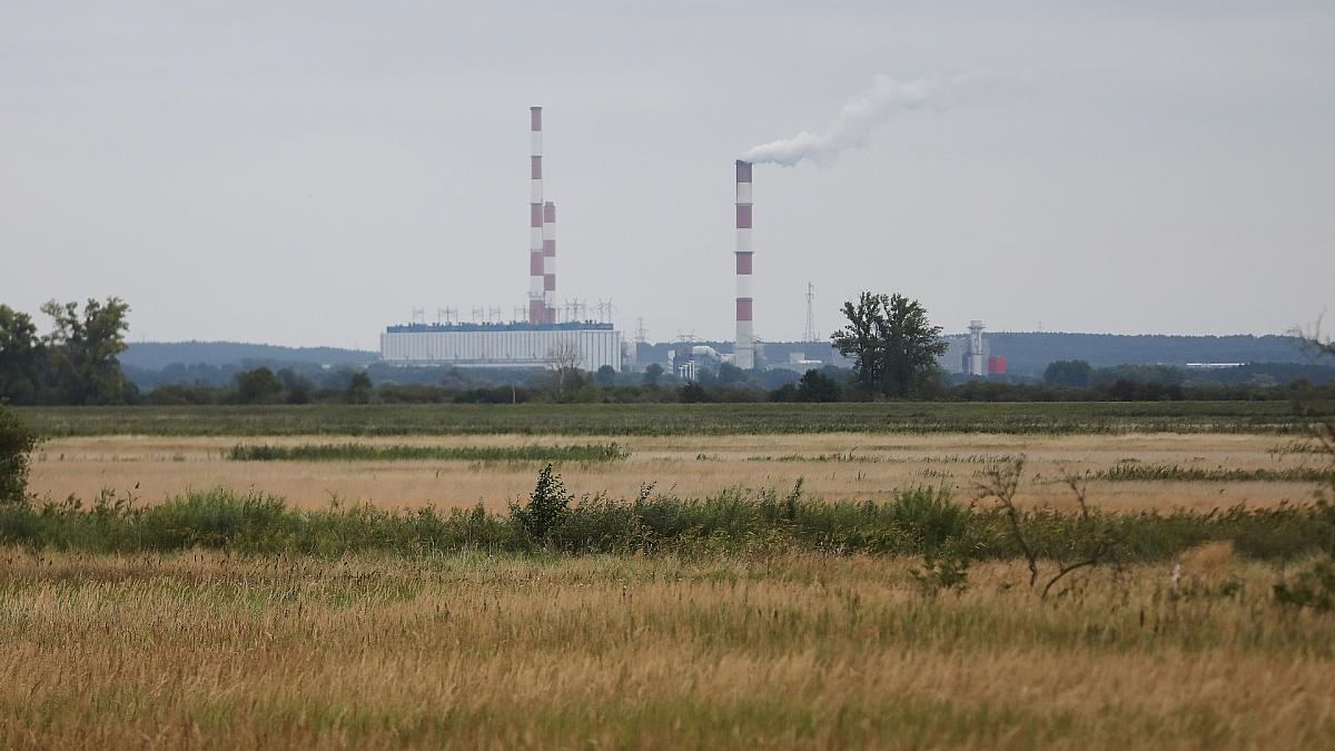 Klimaaktivistin Neubauer rügt Habeck für Kohleausstiegs-Aussagen