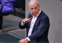 AfD-Abgeordneter Stöber zu Höcke: "Verhält sich wie Julius Caesar"