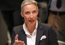 Weidel will nach Habeck-Absage Triell mit Scholz und Merz