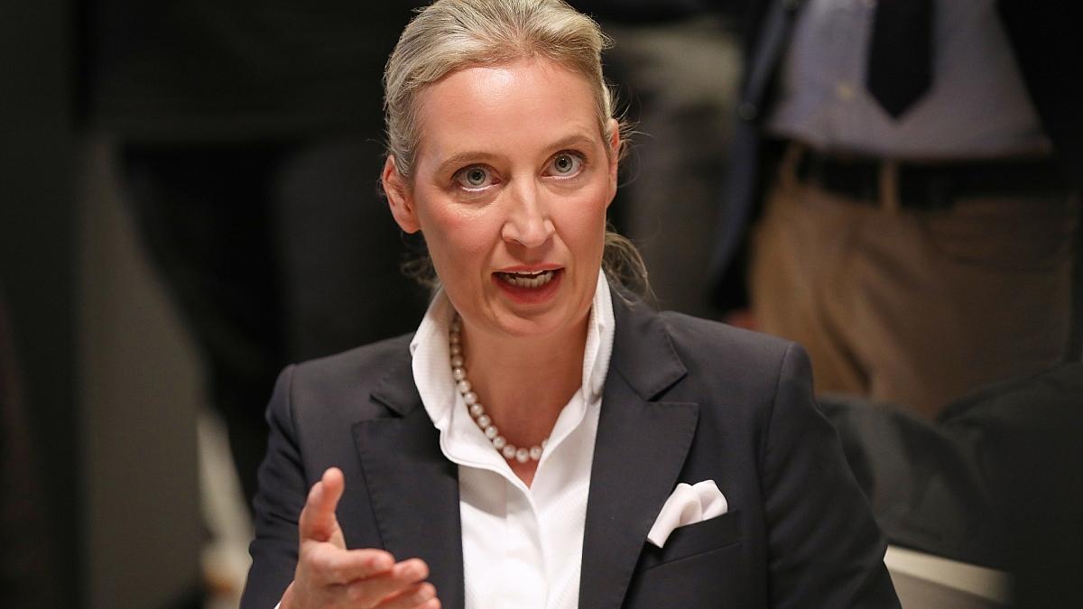 Weidel will nach Habeck-Absage Triell mit Scholz und Merz