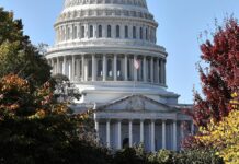 Trump unterstützt Repräsentantenhaus-Sprecher Johnsons Wiederwahl