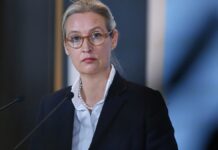 Weidels Team in "regelmäßigem" Kontakt mit Musk-Umfeld