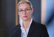 AfD-Vorstand nominiert Weidel offiziell als Kanzlerkandidatin