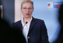 Weidel will Bürgergeld-Zahlungen an Ausländer stoppen