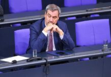 Kritik an Söders Grünen-Äußerungen