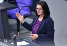 Grünen-Geschäftsführerin empfiehlt Enthaltung bei Vertrauensfrage