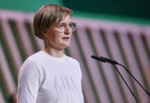 SPD und FDP kritisieren Brantner nach Merz-Lob