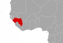 Dutzende Tote nach Massenpanik bei Fußballspiel in Guinea