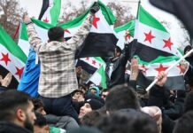 FDP will schnellen Spurwechsel für gut integrierte Syrer