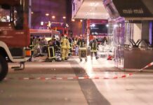 Elon Musk kritisiert nach Magdeburger Anschlag Bundesregierung