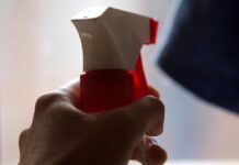 IW-Studie: 90 Prozent der Haushalte lassen schwarz putzen