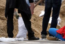 Umfrage zu guten Taten: Frauen helfen anders als Männer