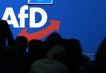 Infratest erwartet "überschaubaren" Musk-Effekt für AfD