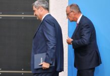 Wiese schätzt Söder stärker als Merz ein