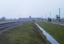 Auschwitz-Komitee erinnert an Befreiung des Vernichtungslagers