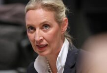 Weidel stellt Musk AfD als "libertäre konservative Partei" vor