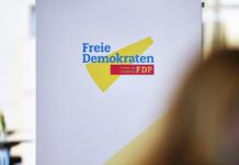 FDP fokussiert sich auf AfD-Anhänger, Grüne und Nichtwähler