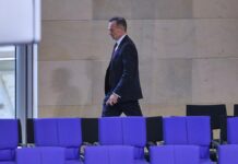 Wissing sieht Geschäftsvorteil als Grund für Musks AfD-Wahlhilfe