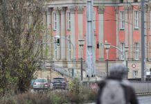 Ausbruch der Maul- und Klauenseuche in Brandenburg