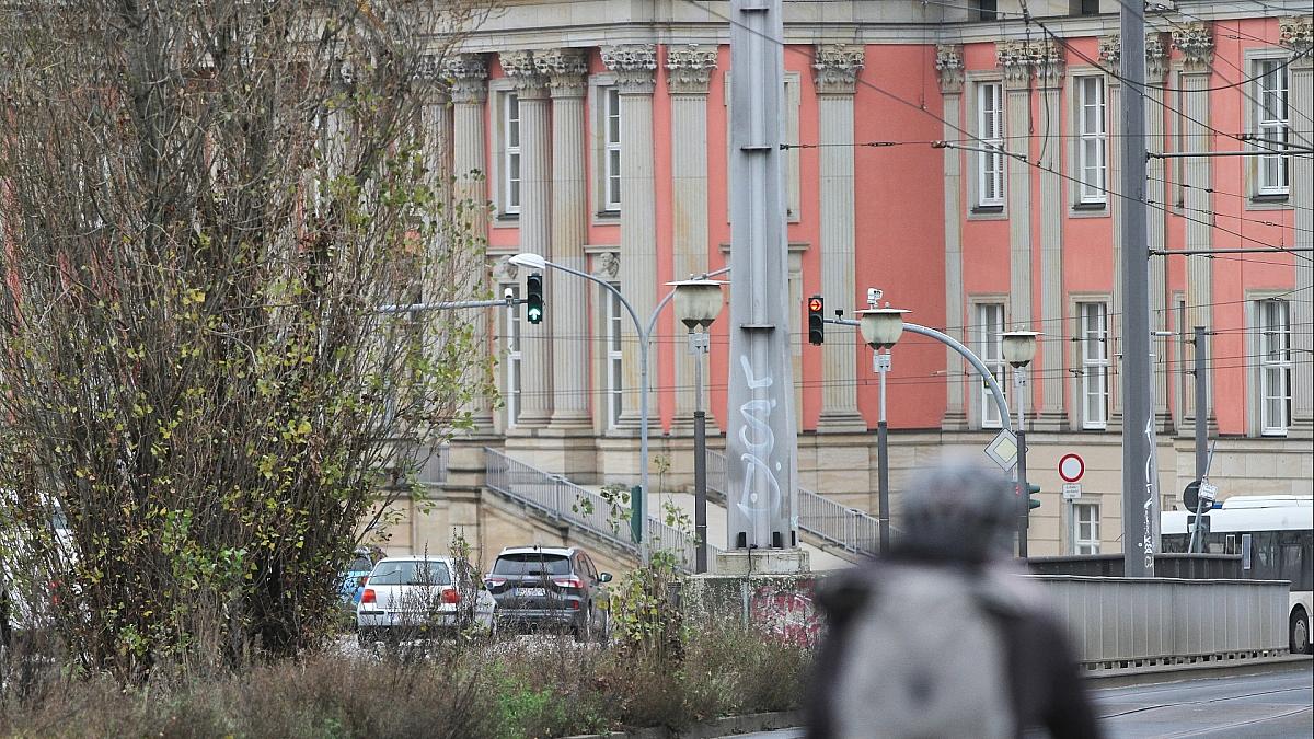 Ausbruch der Maul- und Klauenseuche in Brandenburg