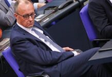 Grüne Mihalic: Merz-Plan für Einreiseverbot rechtlich unmöglich