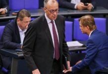 NRW-Grüne: Merz bedient "Remigrationsfantasien der AfD"